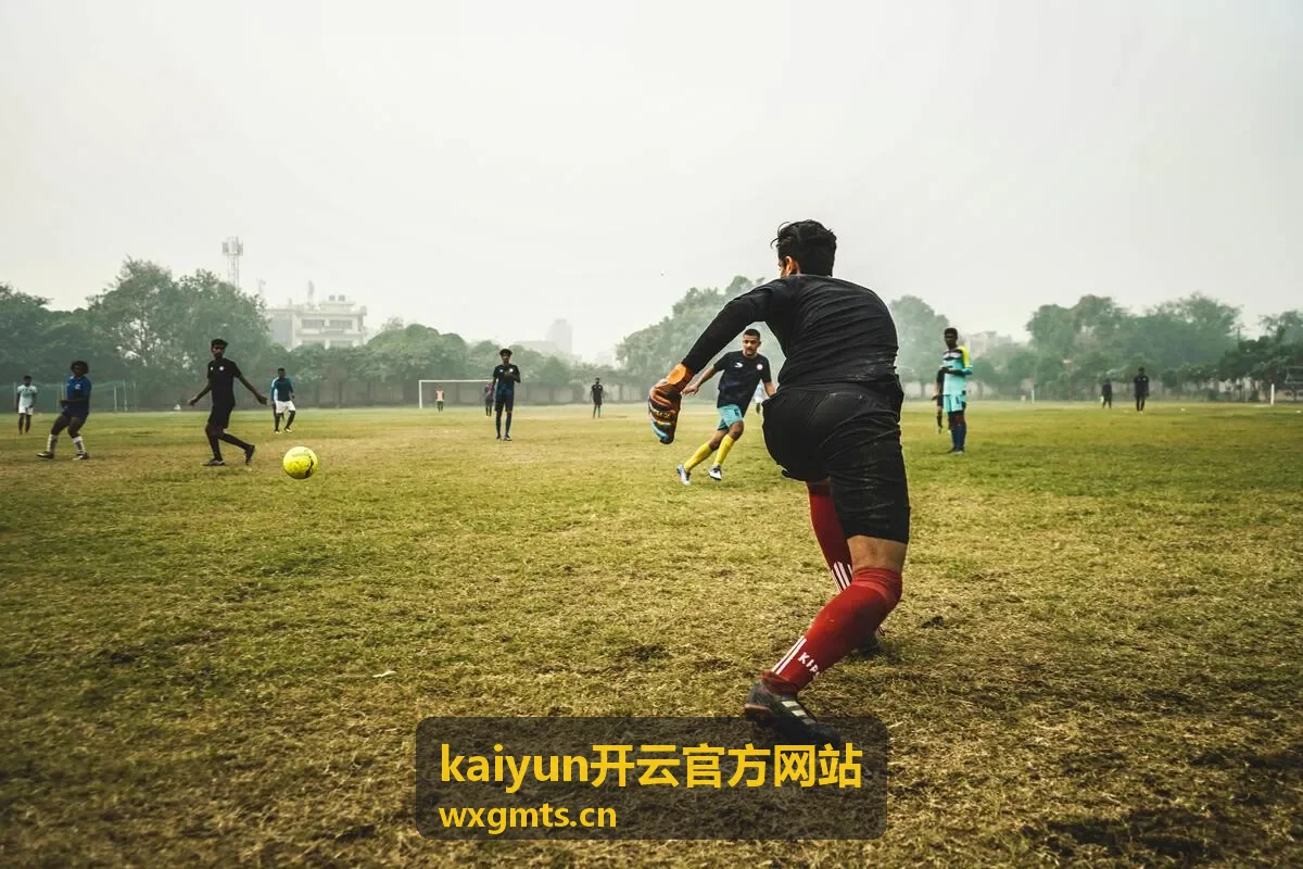 kaiyun开云官方网站账号登录状态确认场景
