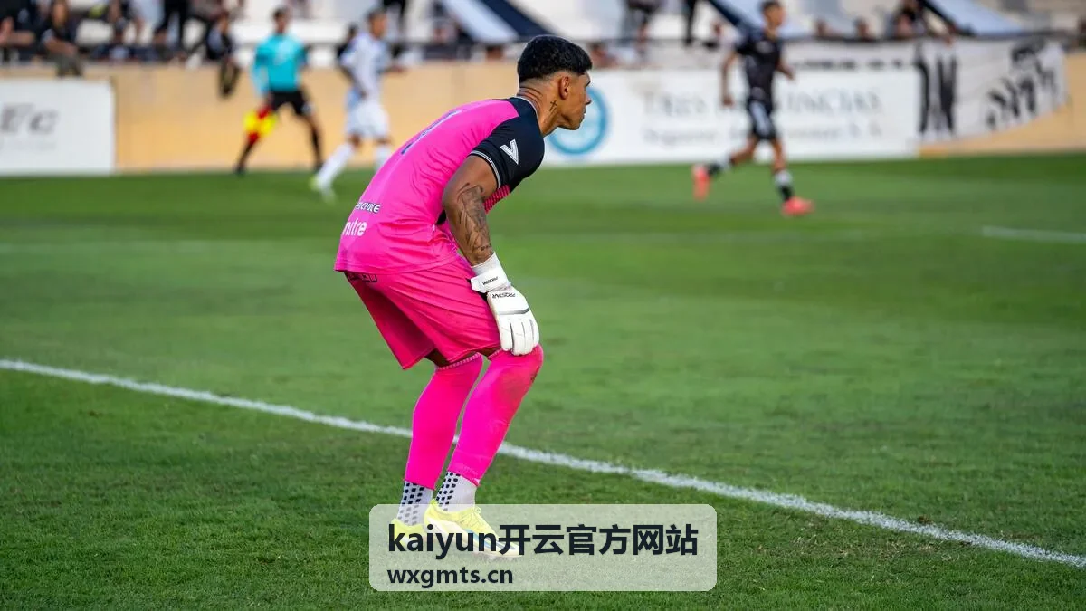 kaiyun开云官方网站平台功能模块说明