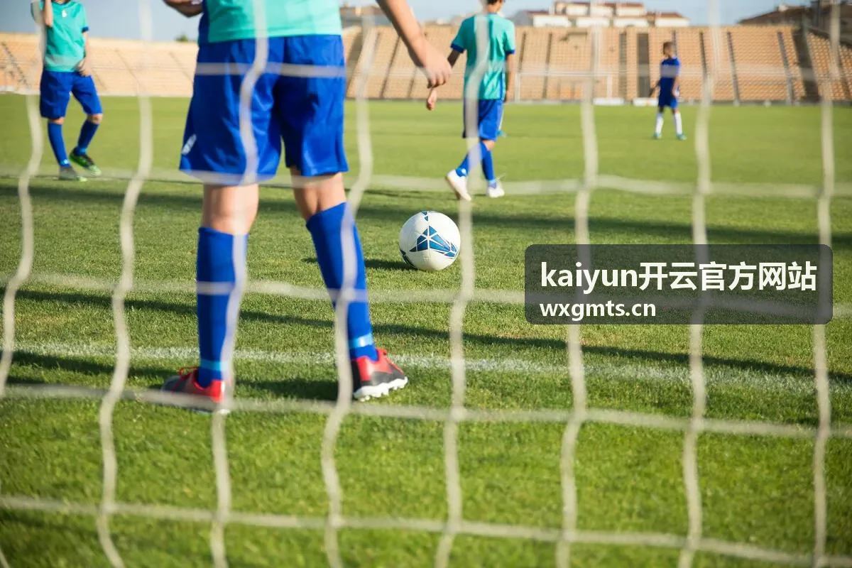 kaiyun开云官方网站客户端与网页版对比
