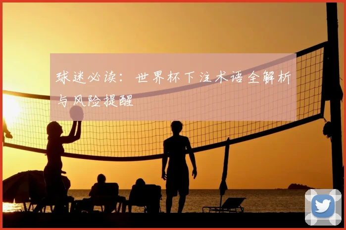 球迷必读：世界杯下注术语全解析与风险提醒