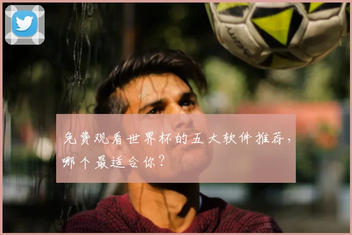 免费观看世界杯的五大软件推荐，哪个最适合你？