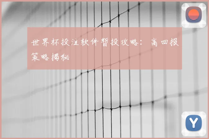 世界杯投注软件暂投攻略：高回报策略揭秘