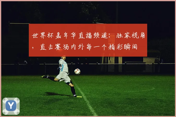 世界杯嘉年华直播频道：独家视角，直击赛场内外每一个精彩瞬间