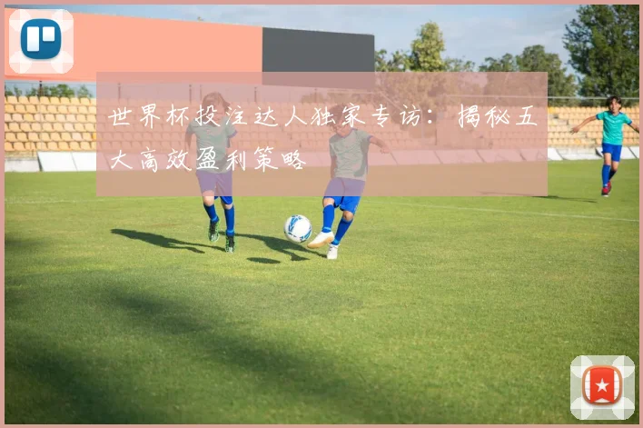 世界杯投注达人独家专访：揭秘五大高效盈利策略