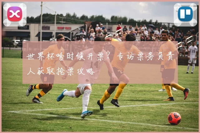 世界杯啥时候开票？专访票务负责人获取抢票攻略