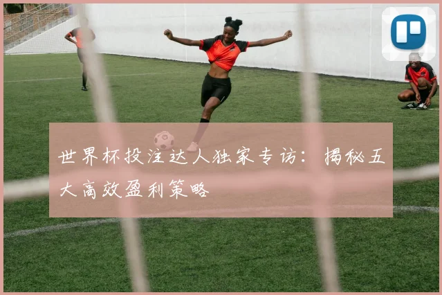 世界杯投注达人独家专访：揭秘五大高效盈利策略